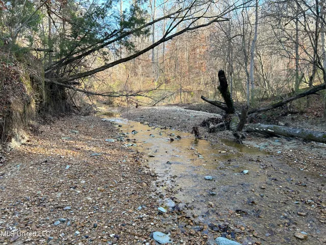 $231,000 | Perry Creek Road, Yazoo City, MS 39194