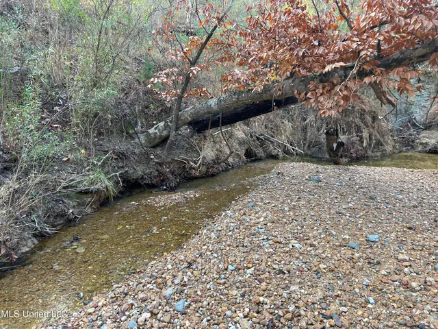 $231,000 | Perry Creek Road, Yazoo City, MS 39194
