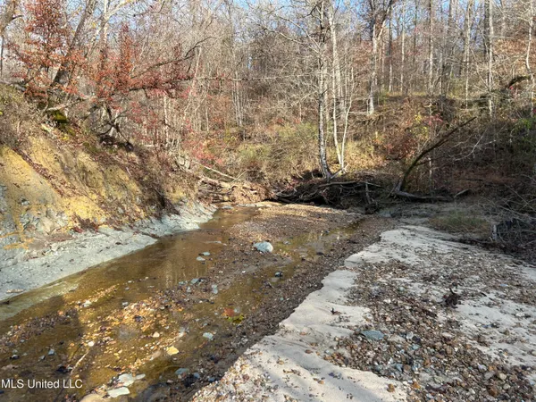 $231,000 | Perry Creek Road, Yazoo City, MS 39194