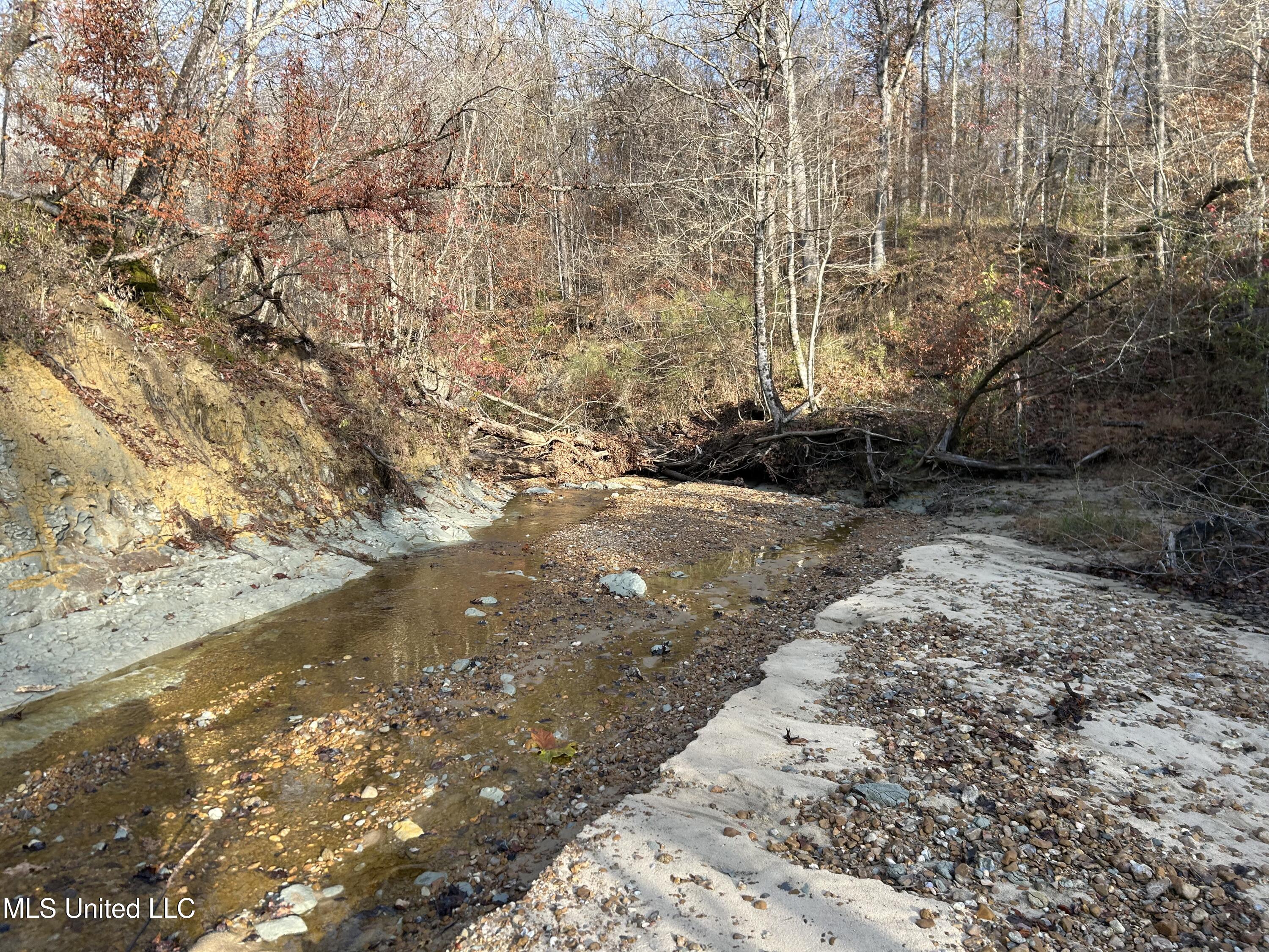 Perry Creek Road Yazoo City, MS 39194 - Photo 39 of 56 Photo Dec 12 2025, 8 45 22 AM
