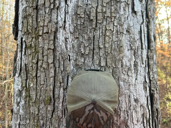 $231,000 | Perry Creek Road, Yazoo City, MS 39194