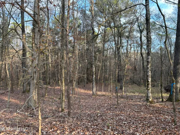 $231,000 | Perry Creek Road, Yazoo City, MS 39194