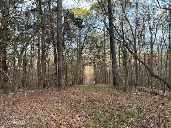 $231,000 | Perry Creek Road, Yazoo City, MS 39194