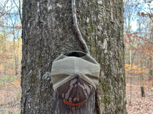 $231,000 | Perry Creek Road, Yazoo City, MS 39194