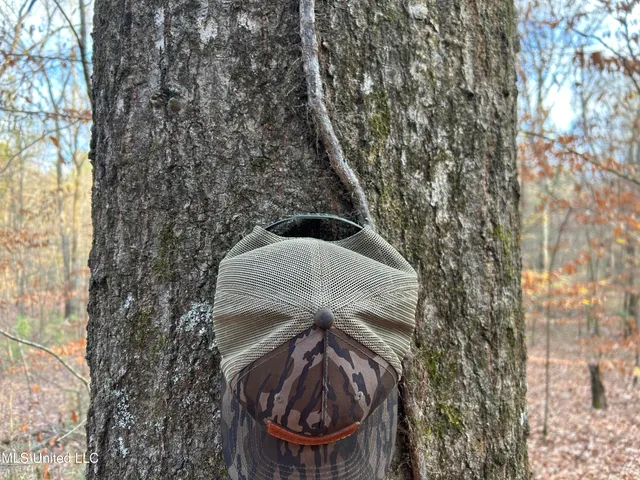 $231,000 | Perry Creek Road, Yazoo City, MS 39194