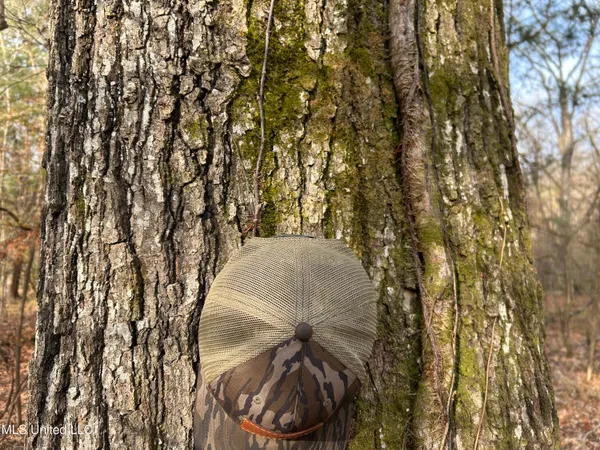 $231,000 | Perry Creek Road, Yazoo City, MS 39194