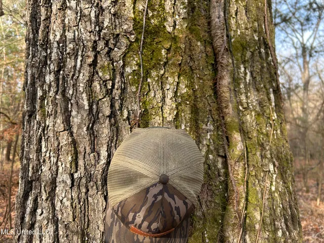 $231,000 | Perry Creek Road, Yazoo City, MS 39194