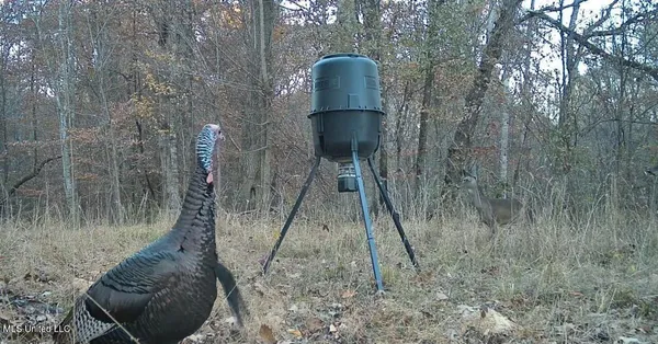 $231,000 | Perry Creek Road, Yazoo City, MS 39194