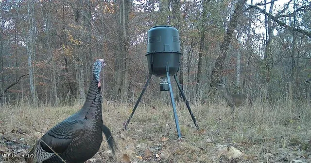 $231,000 | Perry Creek Road, Yazoo City, MS 39194