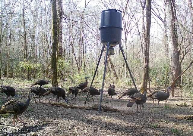 Perry Creek Road Yazoo City, MS 39194 - Photo 50 of 56 IMG_2020