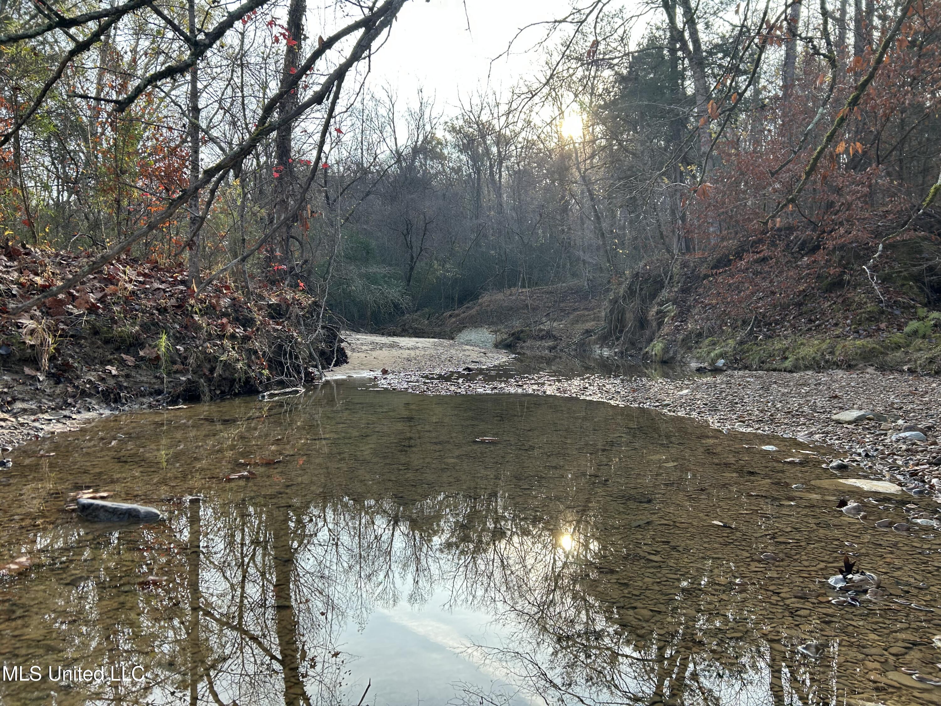 Perry Creek Road Yazoo City, MS 39194 - Photo 5 of 56 5