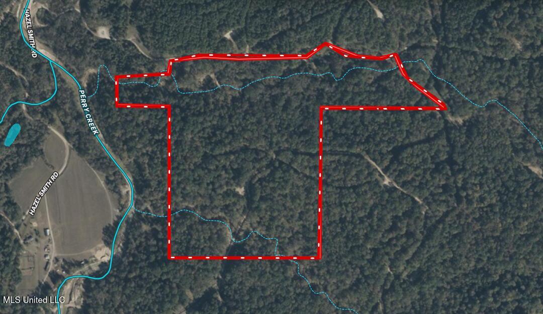 Perry Creek Road Yazoo City, MS 39194 - Photo 52 of 56 aerial