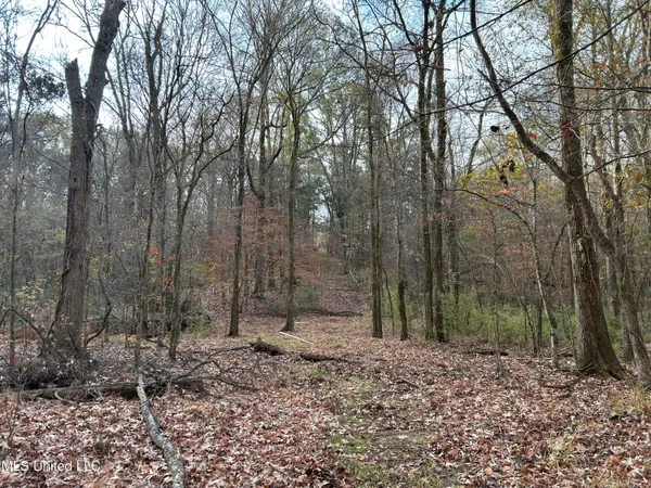$231,000 | Perry Creek Road, Yazoo City, MS 39194