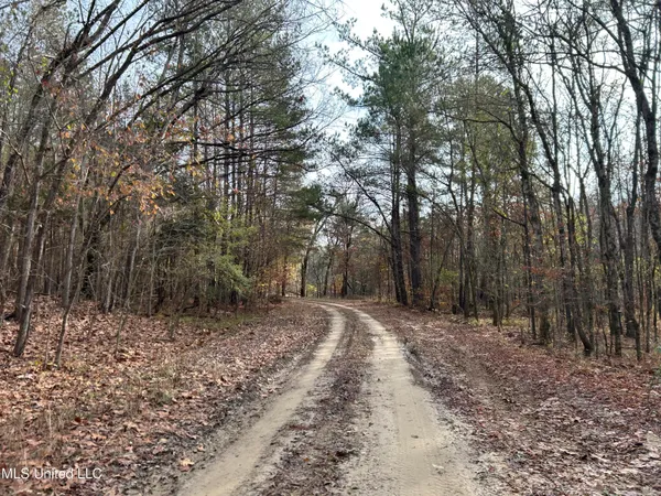 $231,000 | Perry Creek Road, Yazoo City, MS 39194