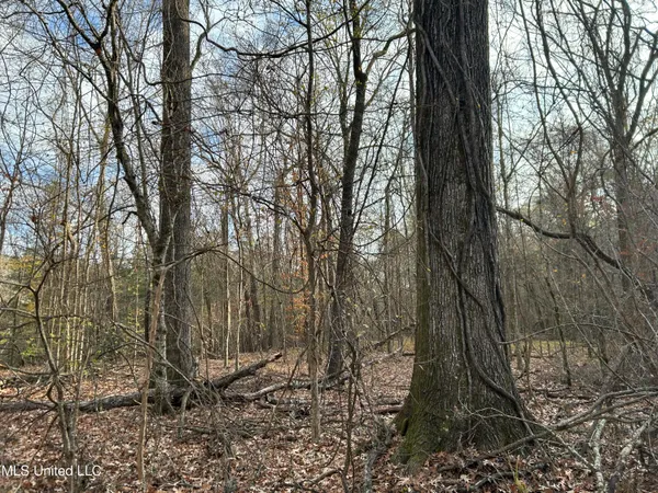 $231,000 | Perry Creek Road, Yazoo City, MS 39194