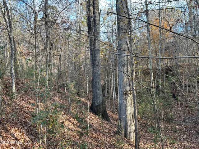 $231,000 | Perry Creek Road, Yazoo City, MS 39194