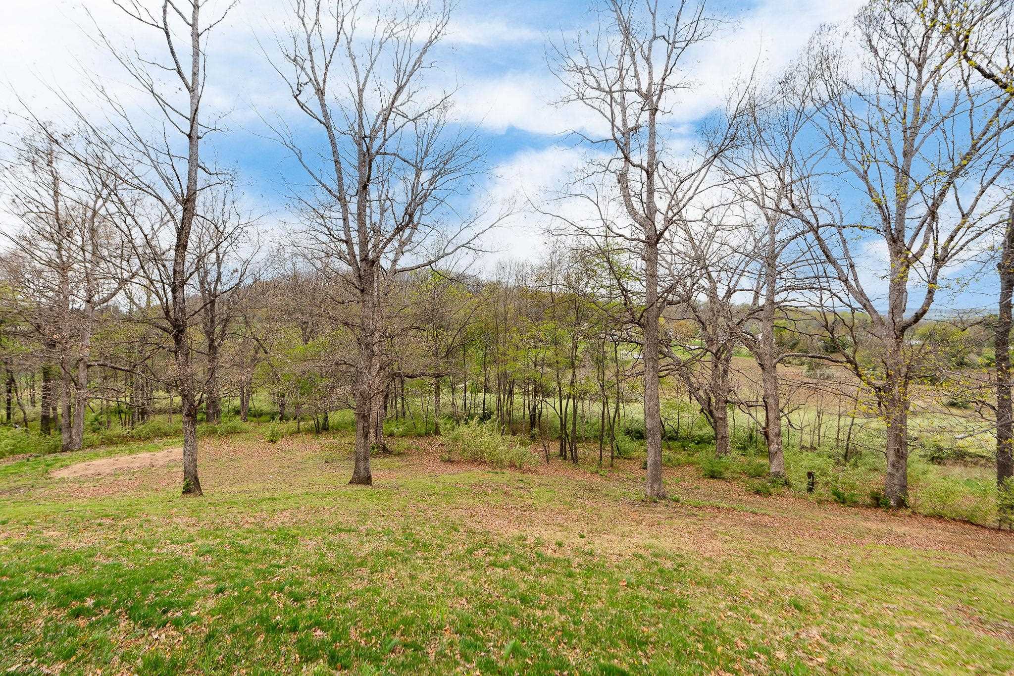 86 Spitler Circle Greenville, VA 24440 - Photo 18 of 25 a view of yard with trees