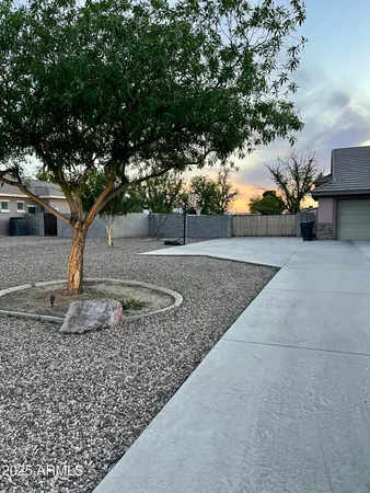 a view of a yard with trees