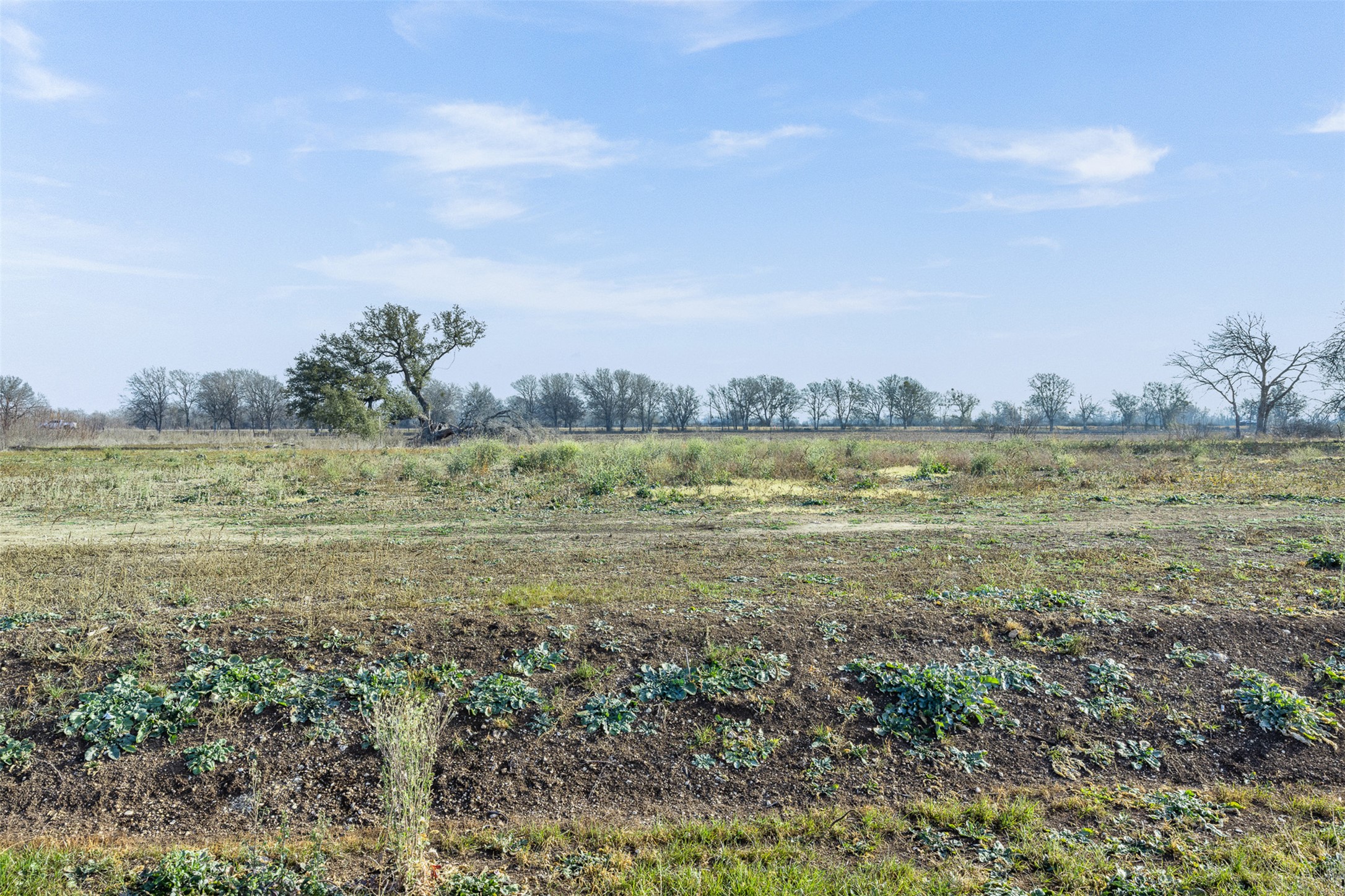 333 Quail Run Road Martindale, TX 78655 - Photo 8 of 9 a view of a field with an ocean