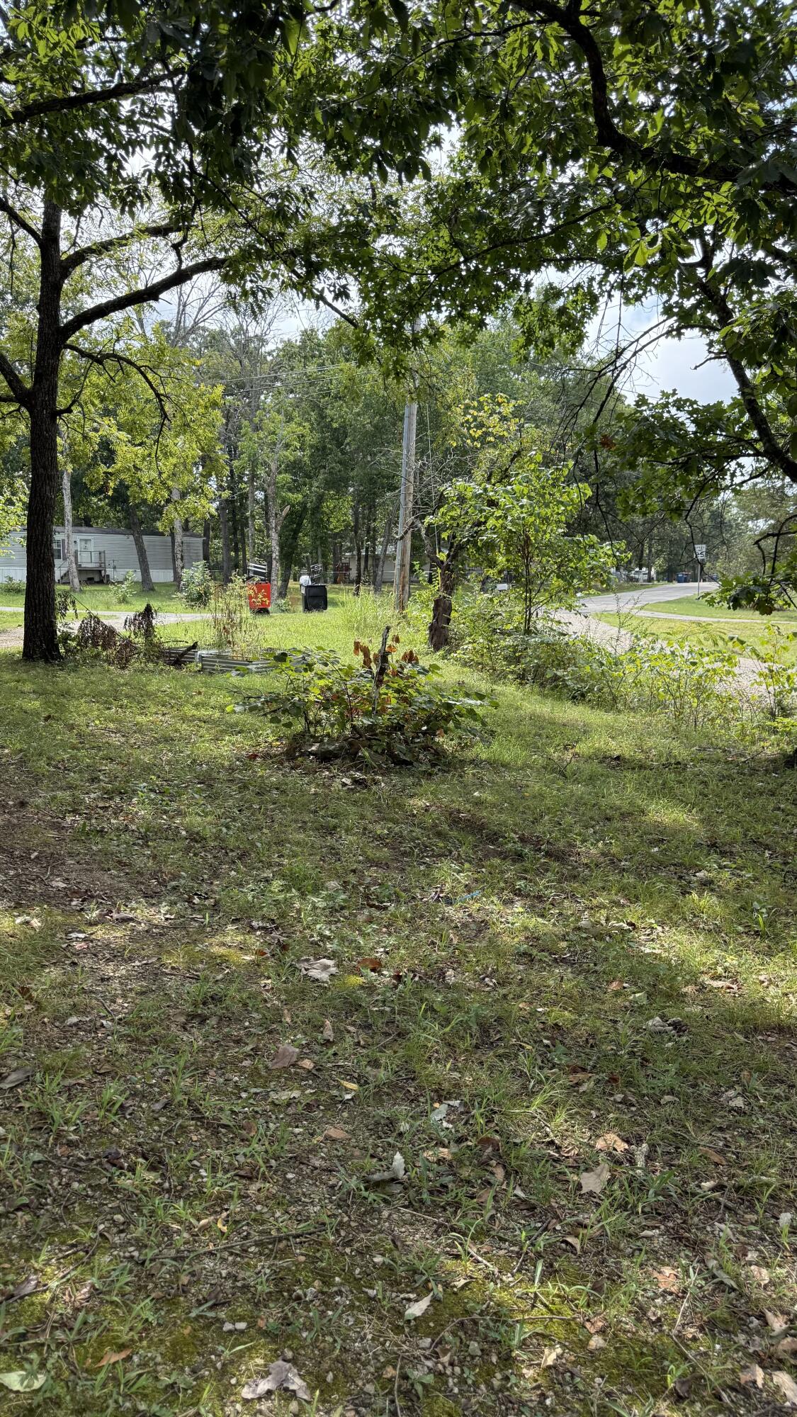 381 Mill Hollow Road Forsyth, MO 65653 - Photo 2 of 20 IMG_0602