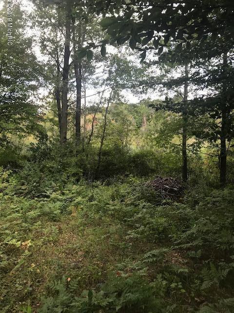 1825 North Johnson Road Trufant, MI 49347 - Photo 1 of 7 Johnson 8