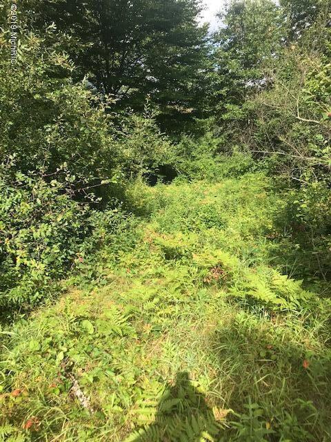 1825 North Johnson Road Trufant, MI 49347 - Photo 4 of 7 Johnson 5