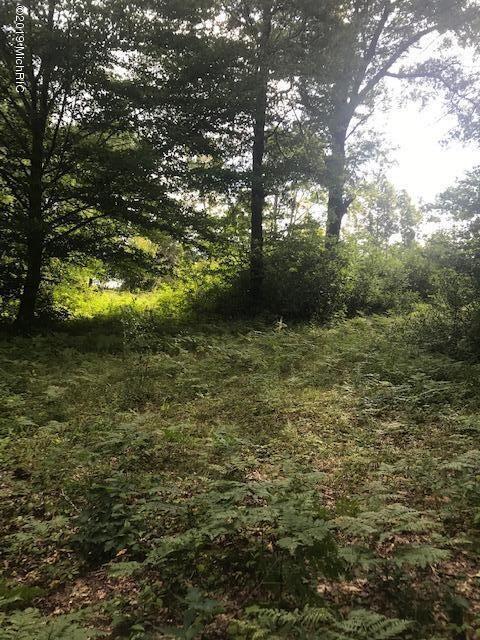 1825 North Johnson Road Trufant, MI 49347 - Photo 5 of 7 Johnson 4