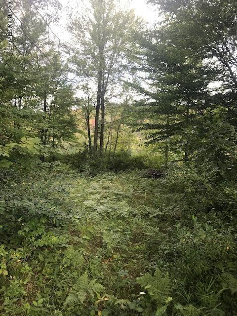 1825 North Johnson Road Trufant, MI 49347 - Photo 6 of 7 Johnson 3