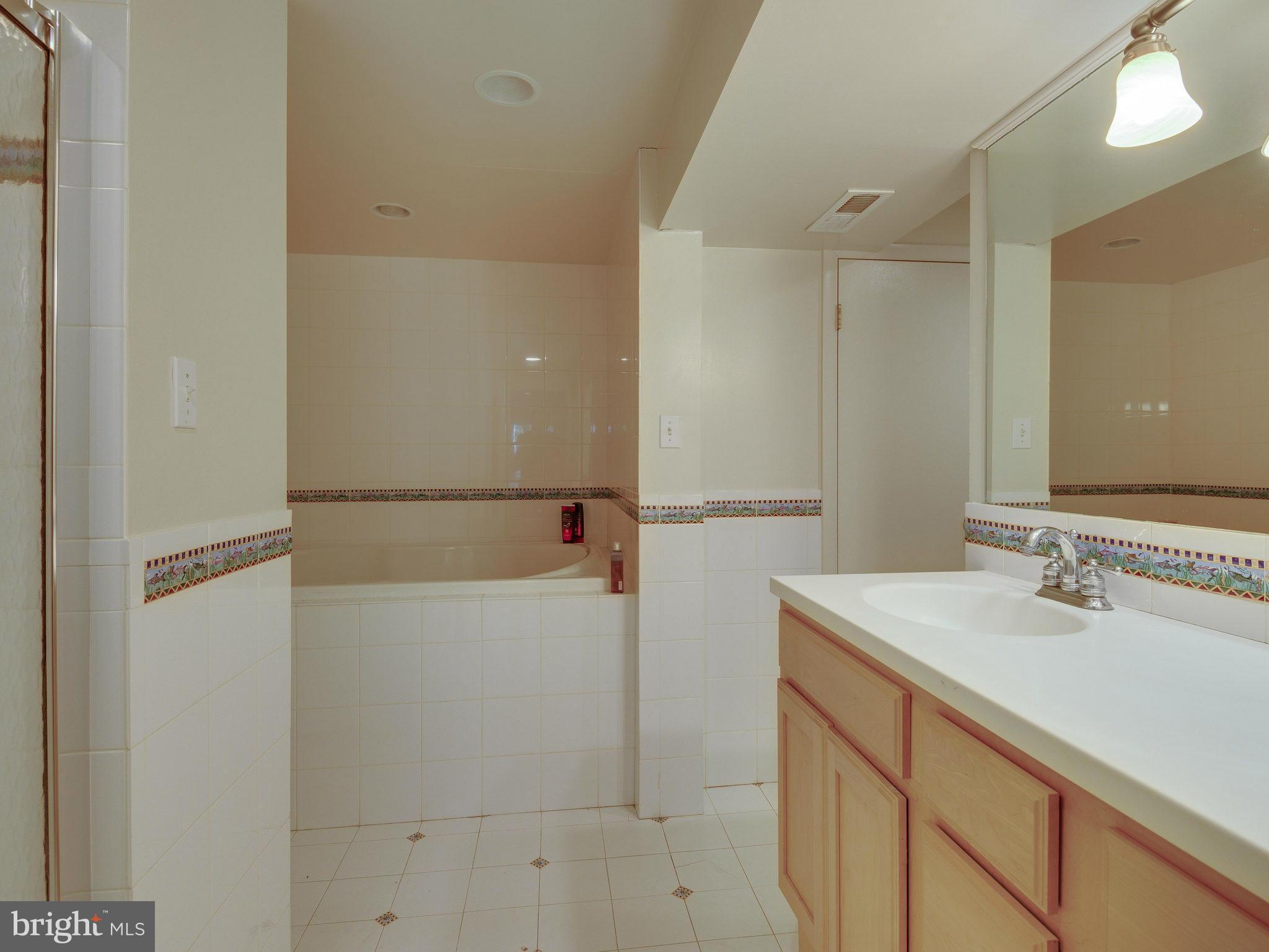 12370 Lima Lane Reston, VA 20191 - Photo 19 of 30 Bath