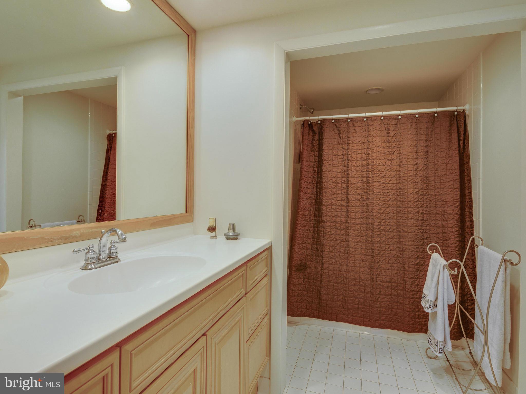 12370 Lima Lane Reston, VA 20191 - Photo 21 of 30 Bath (Master)