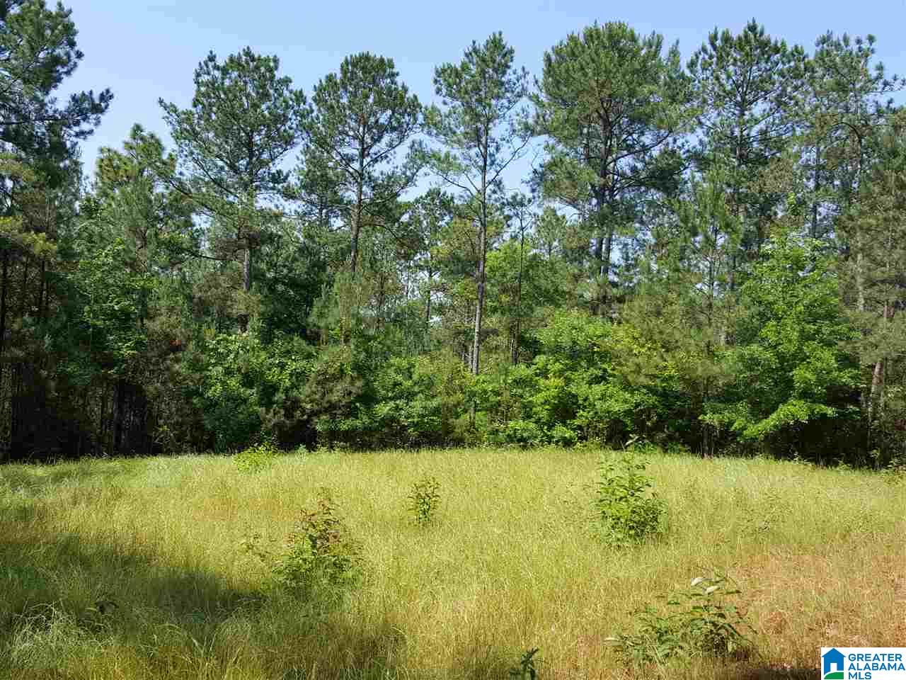 0 Chapman Road, Unit 175 Goodwater, AL 35072 - Photo 14 of 16