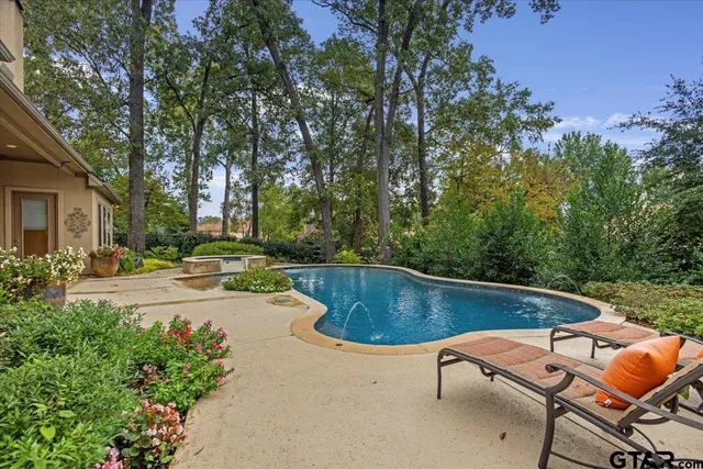 a view of a swimming pool with lawn chairs and plants