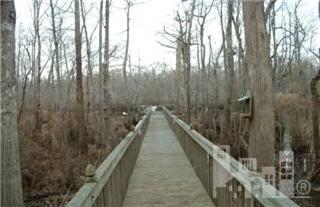 147 Tram Road Currie, NC 28435 - Photo 3 of 7 Additional Photo