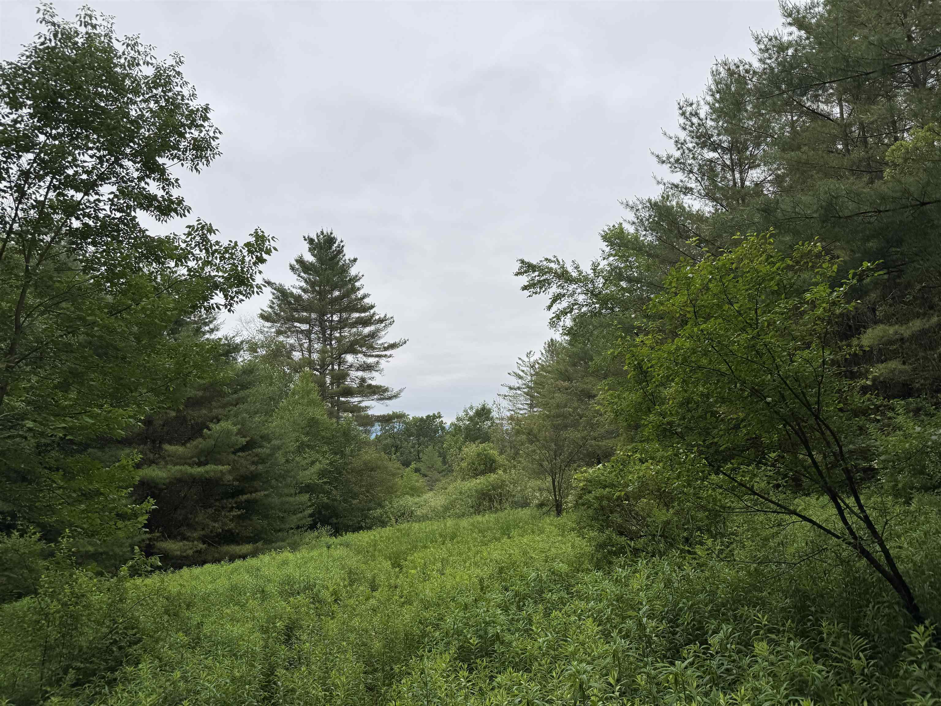 0 Skiparee Road North Pownal, VT 05260 - Photo 14 of 42