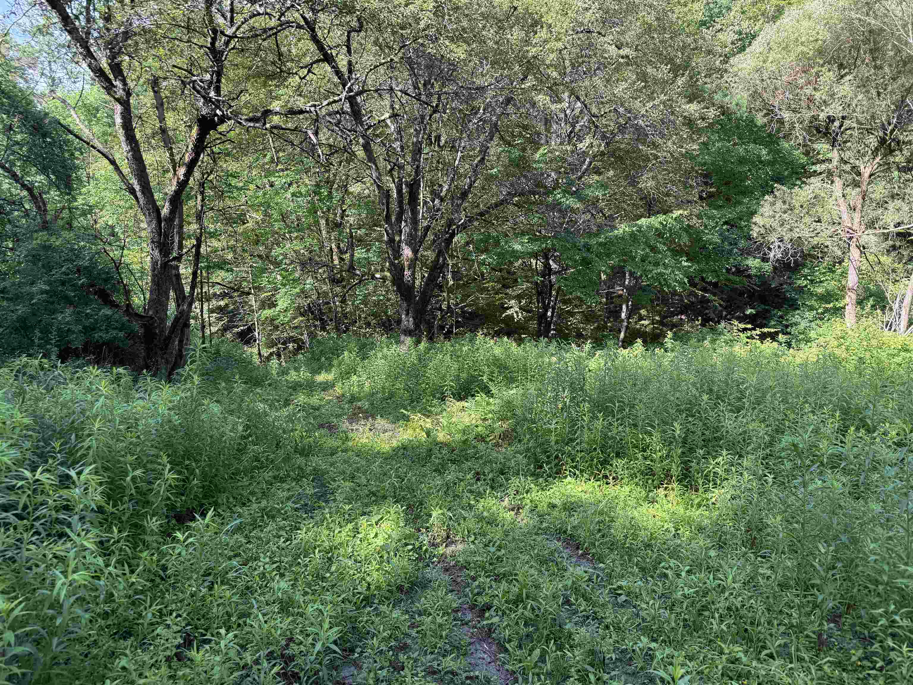 0 Skiparee Road North Pownal, VT 05260 - Photo 19 of 42