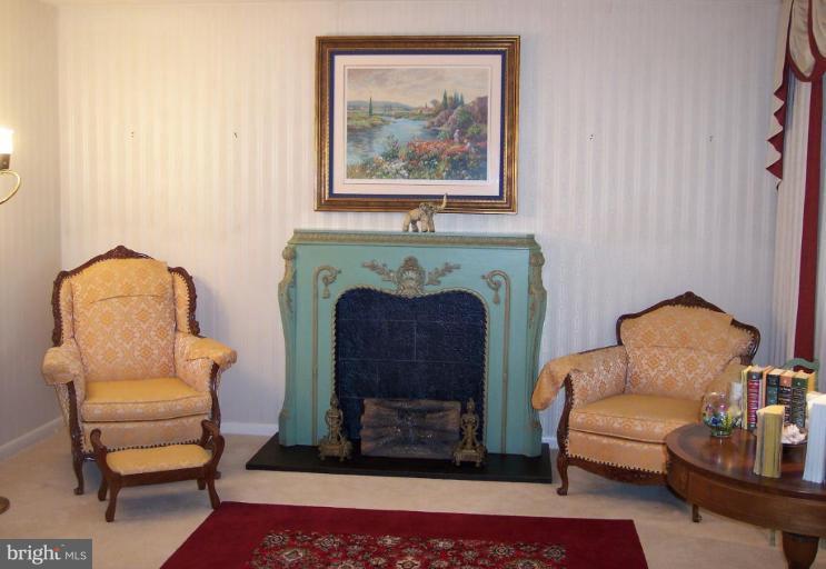 8816 Stephanie Road Randallstown, MD 21133 - Photo 15 of 19 Fireplace