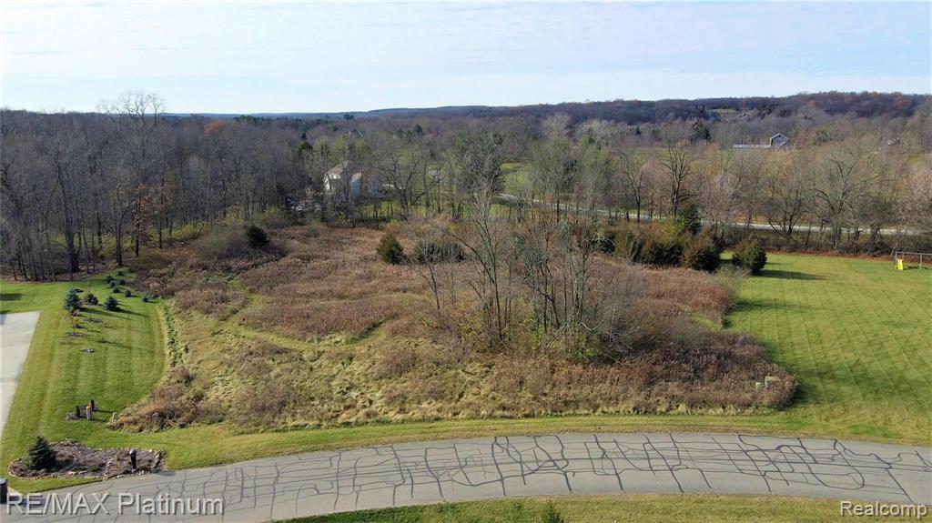 8989 Autumn Trail Dexter, MI 48130 - Photo 2 of 13