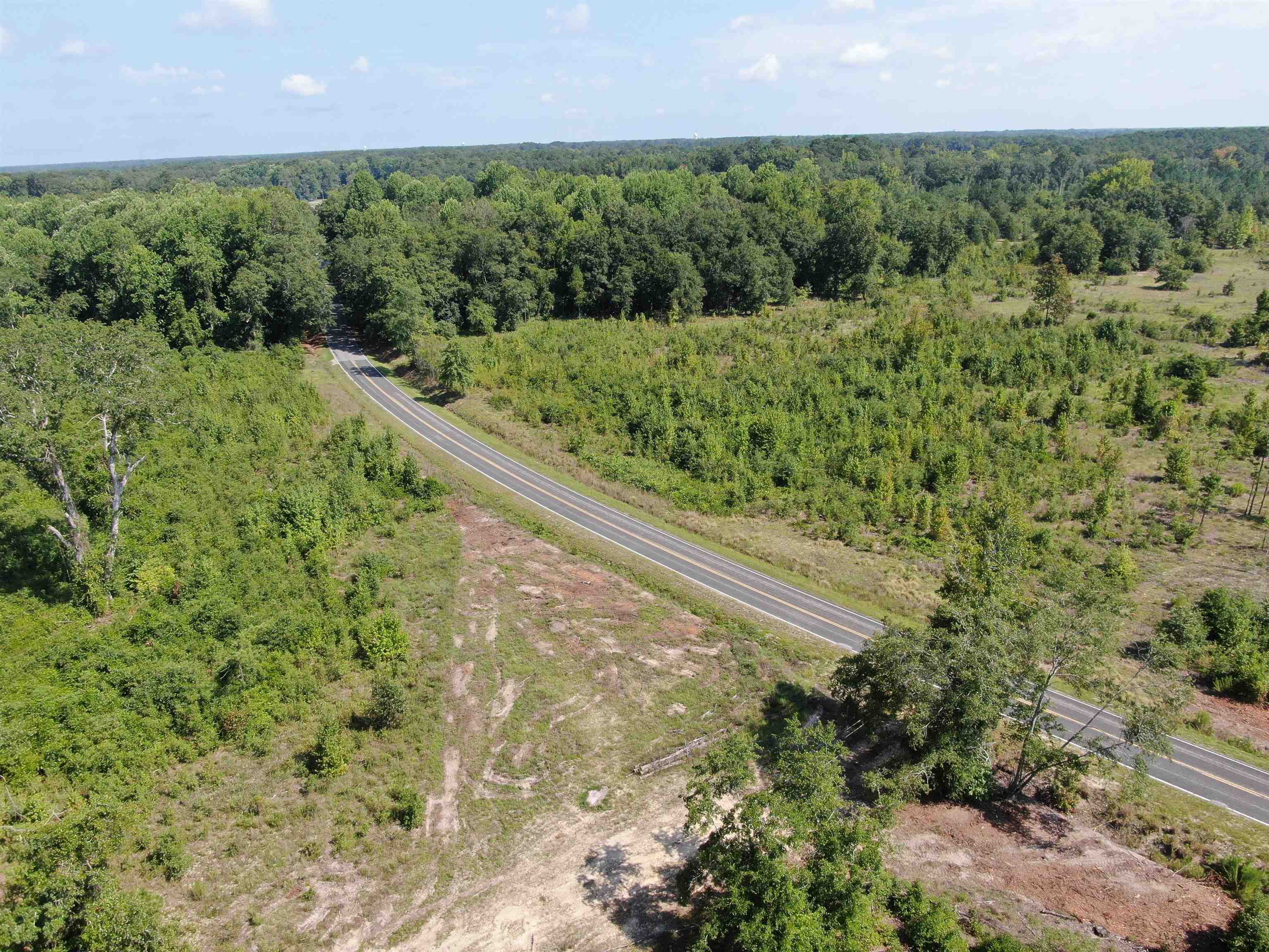 Tbd Mt Calvary Road Dillon, SC 29536 - Photo 4 of 26 Gallery Image 4
