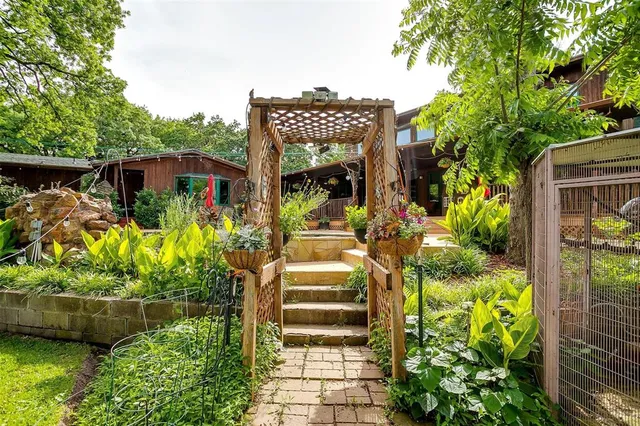 a view of a backyard with a tree