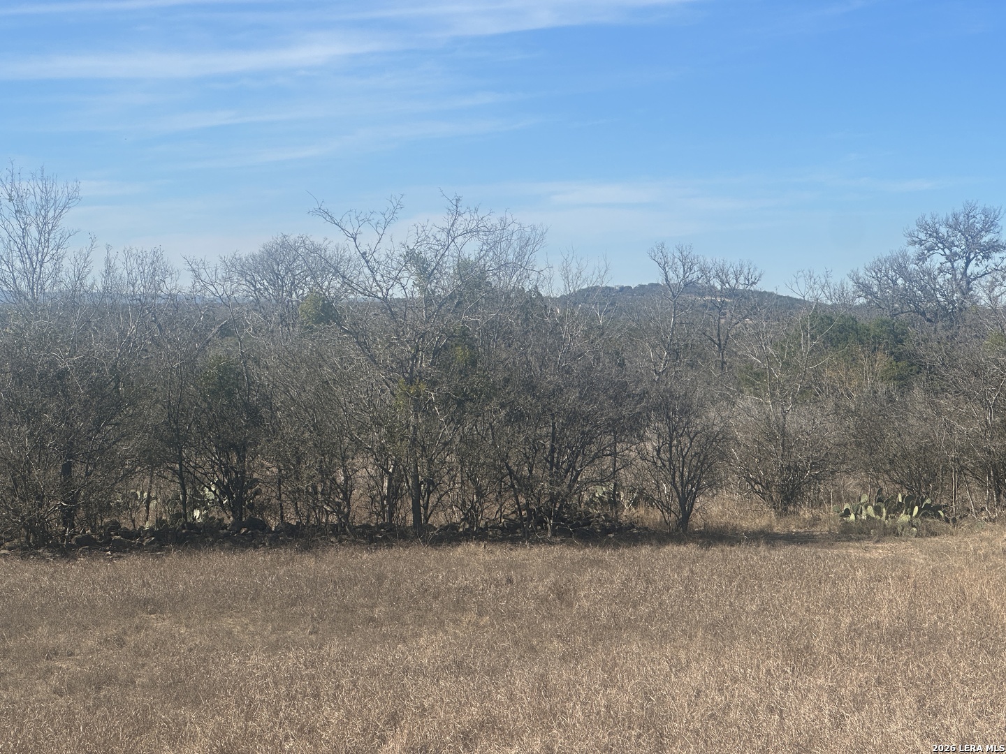 526 Cielo Rio Drive Pipe Creek, TX 78063 - Photo 2 of 14 a view of a dry yard