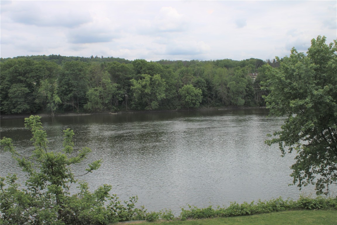 342 Front Street Owego, NY 13827 - Photo 41 of 47