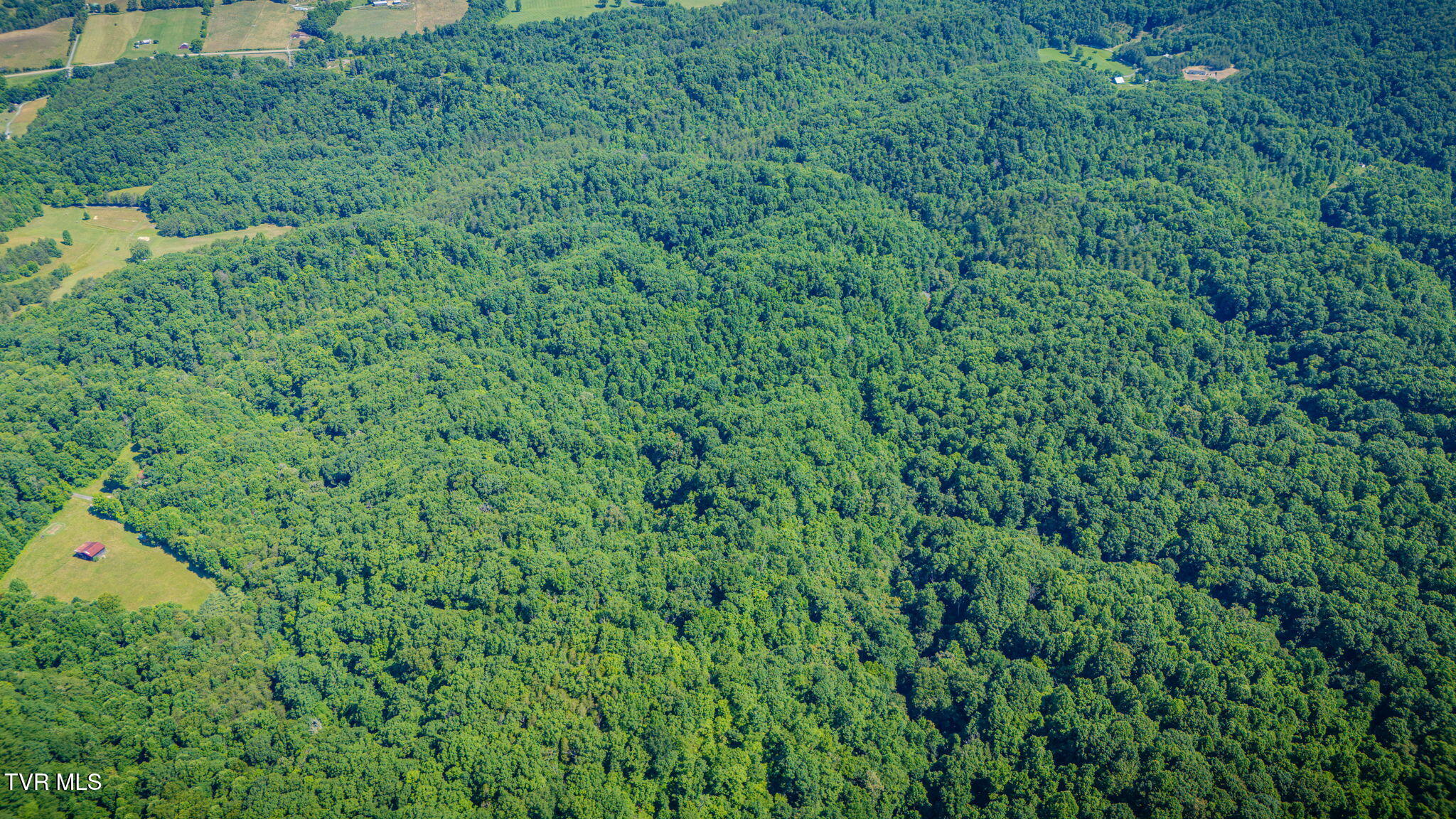115 Bell Road Rogersville, TN 37857 - Photo 49 of 50 105