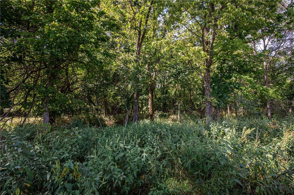 1 Scott Road Prescott, KS 66767 - Photo 11 of 34