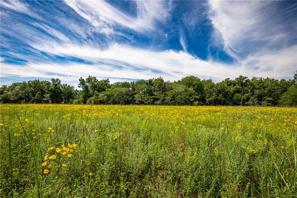 1 Scott Road Prescott, KS 66767 - Photo 14 of 34