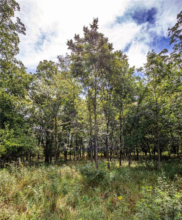 1 Scott Road Prescott, KS 66767 - Photo 18 of 34