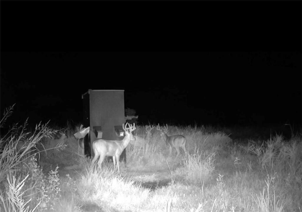 1 Scott Road Prescott, KS 66767 - Photo 27 of 34