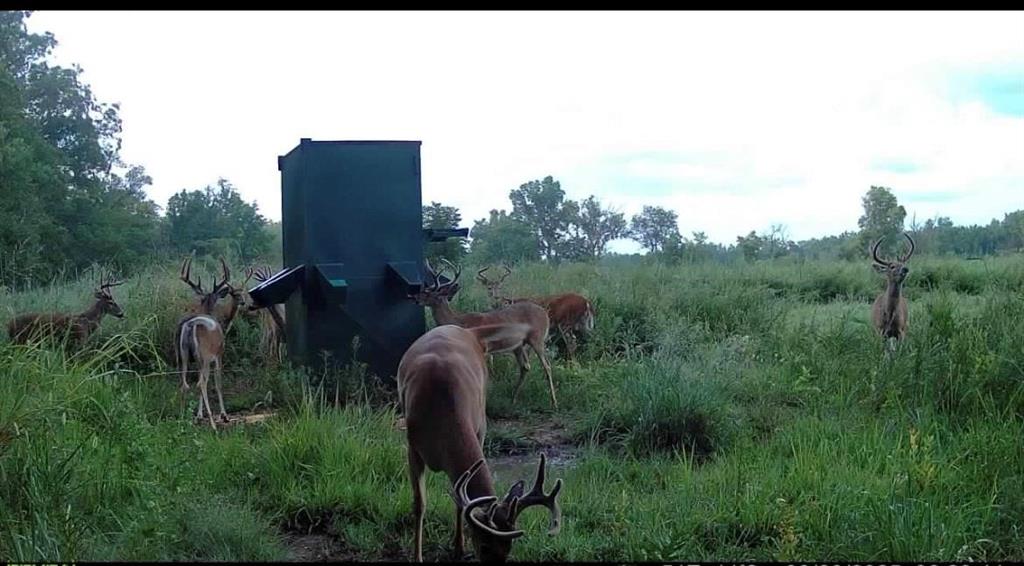 1 Scott Road Prescott, KS 66767 - Photo 29 of 34