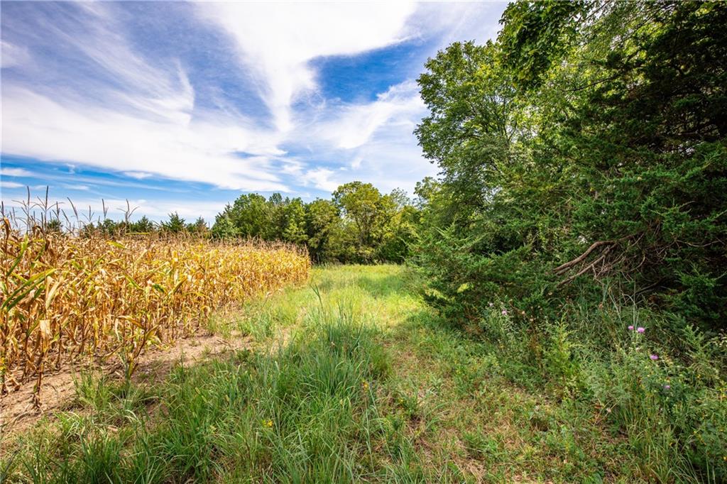 1 Scott Road Prescott, KS 66767 - Photo 3 of 34