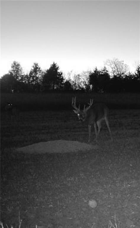 1 Scott Road Prescott, KS 66767 - Photo 31 of 34