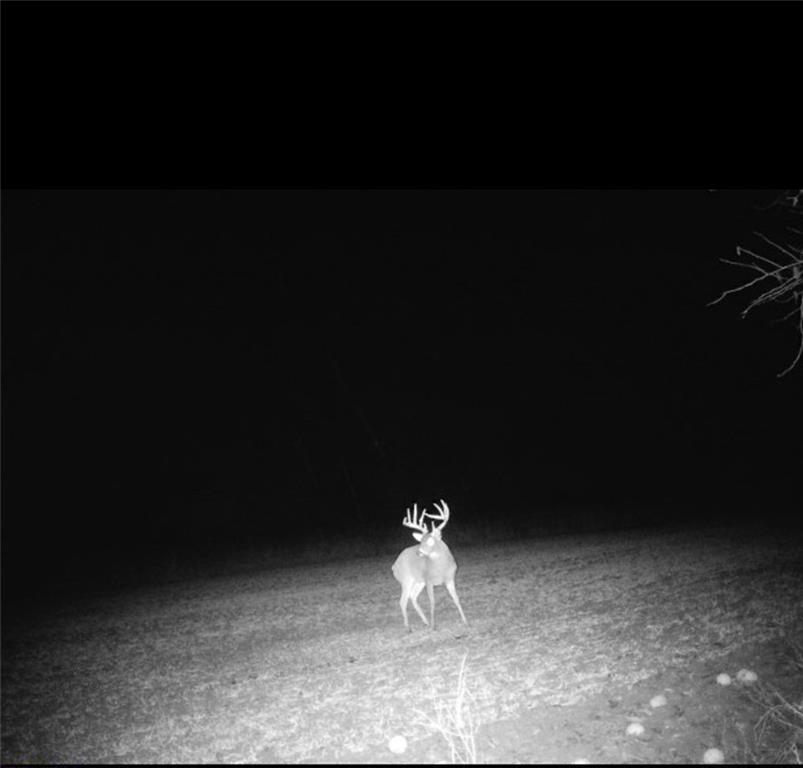 1 Scott Road Prescott, KS 66767 - Photo 32 of 34